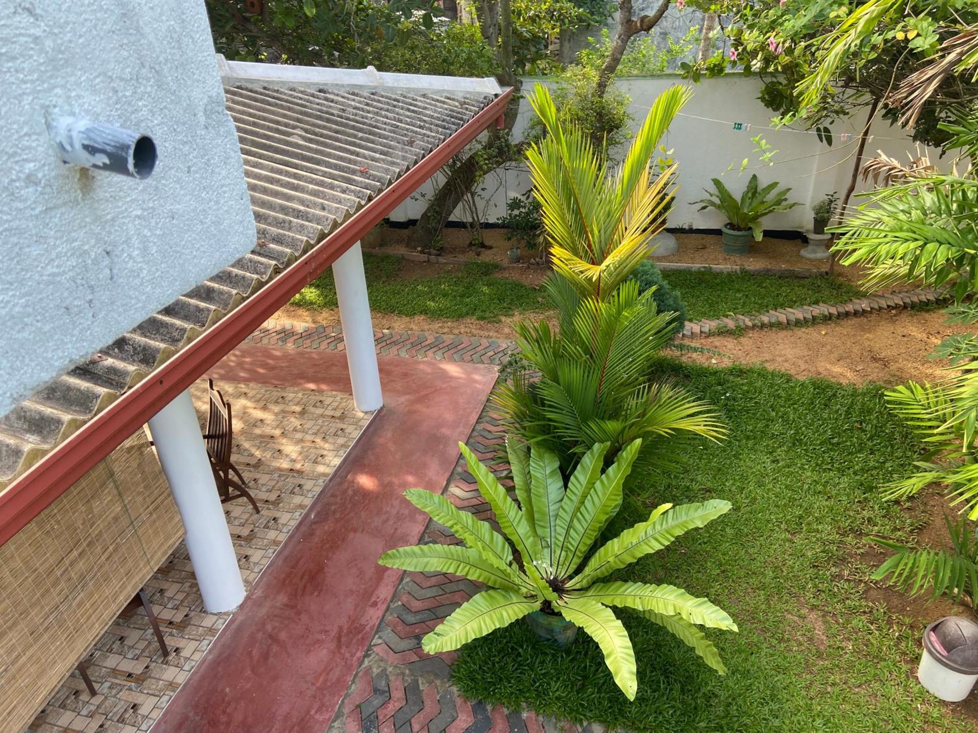 Mirissa Gold Rush Villa Exterior foto