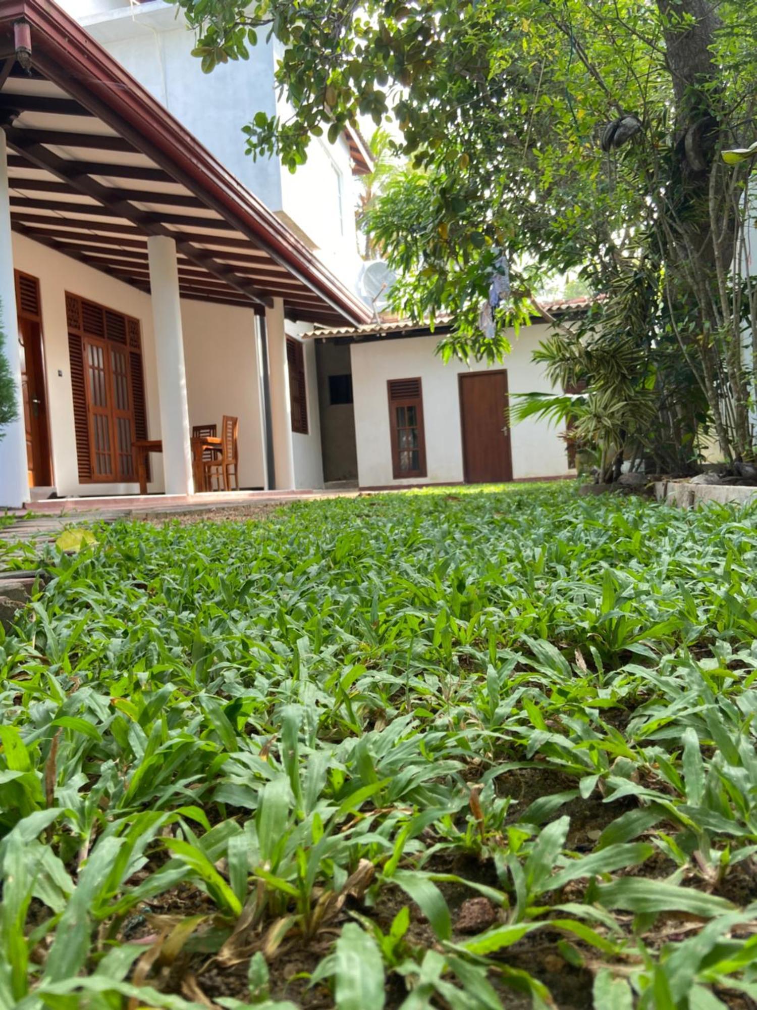 Mirissa Gold Rush Villa Exterior foto